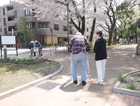 お花見に行きました！